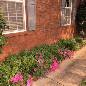Beautiful Custom Landscape