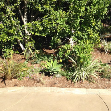 Our Work