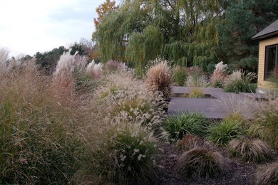 Inspiration for a huge modern full sun and drought-tolerant backyard landscaping in Burlington with decking.