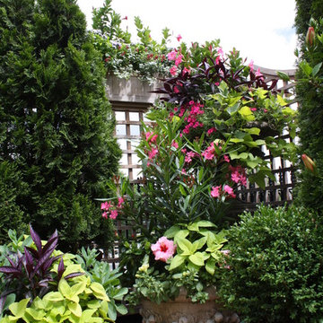 Wisteria & Rose roof deck designs. Visit www.wisteriaandrose.com for more info!