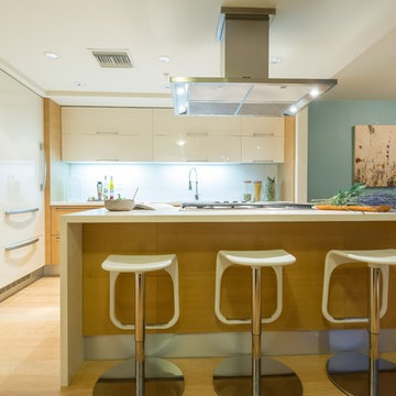 Yaletown View Condo
