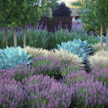 retaining wall/landscape/patio