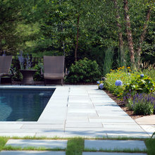 Pool Landscape