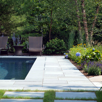 Elegant Swimming Pool