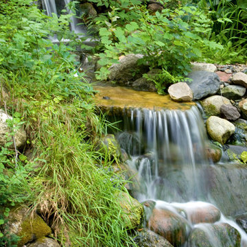 Dual Falls in a Backyard Stream
