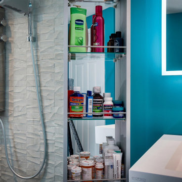 Master Bathroom Remodel