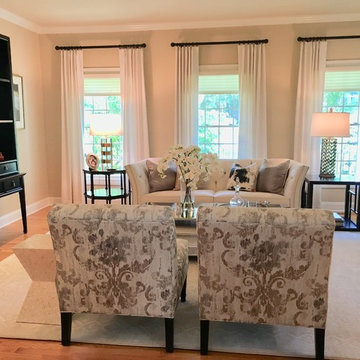 Elegant Transitional Living Room Space