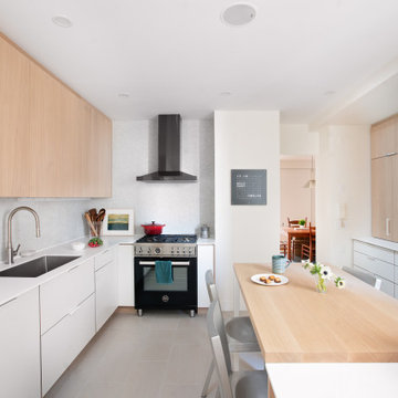 Park Slope Classic 7 renovation Kitchen