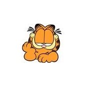 Foto de Tom Cat
