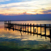 Thom Lowther's photo