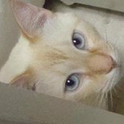 Kathy Walden's photo