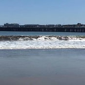 Michele Gregory's photo