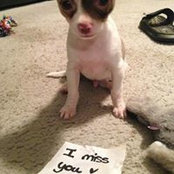 Barbara Noortajalli's photo