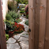 Bill Berger's photo