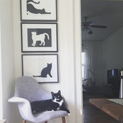 Carly Weisman's photo