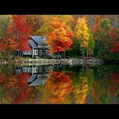 Lisa Hillier's photo