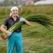 Foto di Hiroki Hamoto