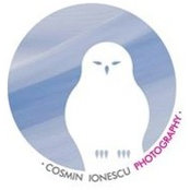 Ionescu Cosmin's photo