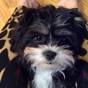 Debbie Tedford's photo