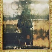 Annabel Park's photo