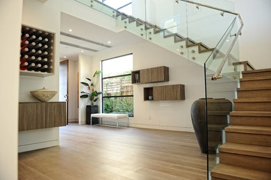Inspiration for a modern light wood floor entryway remodel in Los Angeles