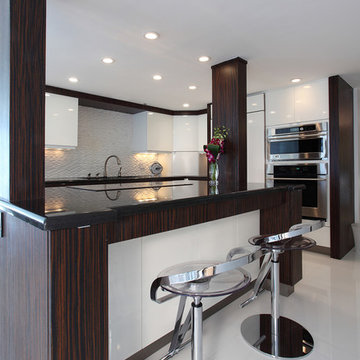 Contemporary Kitchens