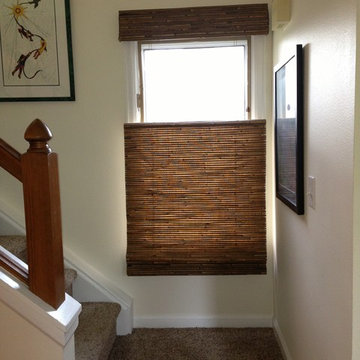 Fort Collins, CO Client