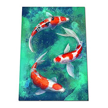 koi fish