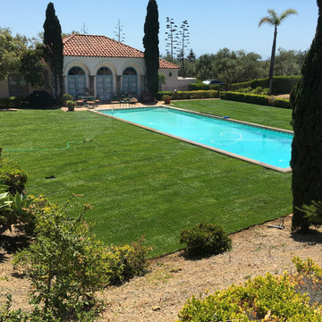 Lawn Installation Projects