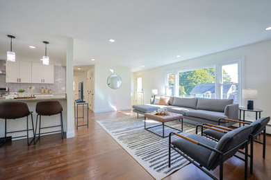 Inspiration for a modern living room remodel