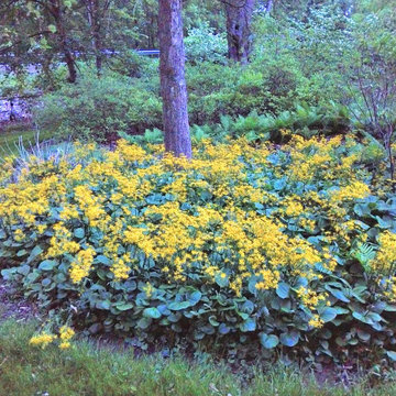 Landscaping