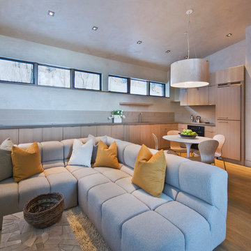 Vail Valley Mountain Contemporary Residence