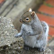 Wendy Chu's photo