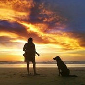 Molly Stetson's photo