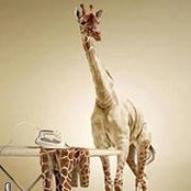 Mindy Martin's photo