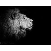 Max Duch's photo