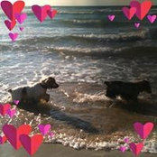 Katherine Storey's photo