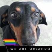 Christian Hamel's photo