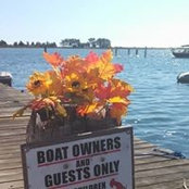 Joyce Pappas's photo