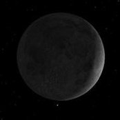 Tammy Tinch's photo