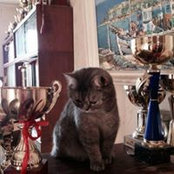 Нонна Серенко's photo