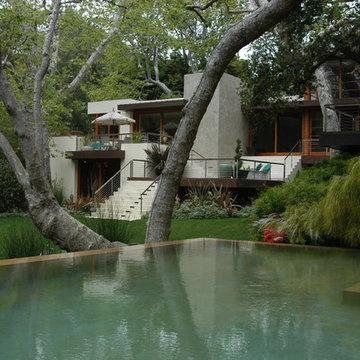 2015 Garden Dialogues: Los Angeles/Santa Monica, Hightree, May 30