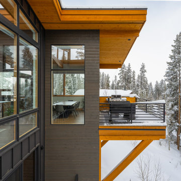 Colorado Contemporary Mountain Home
