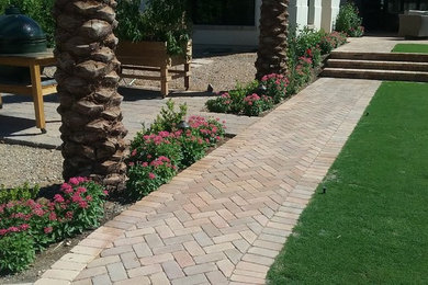 This is an example of a transitional garden in Phoenix.