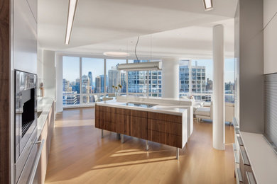Minimalist light wood floor kitchen photo in Chicago with an island