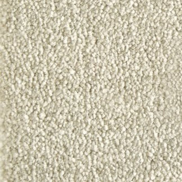 Stanton Atelier Marquee Velveteen Nylon Fiber Residential Carpet