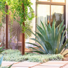 Morrison Landscape