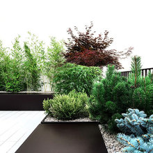 Terrazza