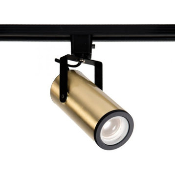 WAC Lighting H-2020 Silo X20 H-Track 8" Tall LED Track Head - Brushed Brass /