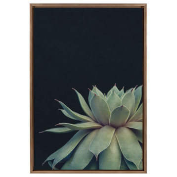Sylvie Succulent Framed Canvas by F2 Images, Gold 23x33